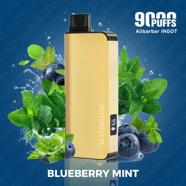 Blueberry Mint – ALIBARBAR Ingot 9000 Puff Vape