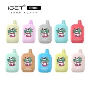 IGET B5000 Disposable Vape
