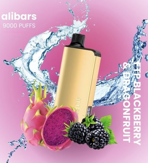 ALIBARBAR Ingot 9000 Puff Vape – FTP (Blackberry Dragon Fruit)