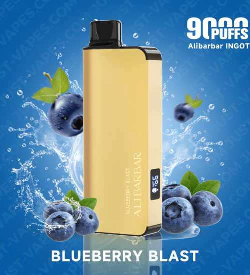 ALIBARBAR Blueberry Blast –  9000 Puffs Vape