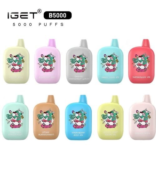IGET B5000 Disposable Vape